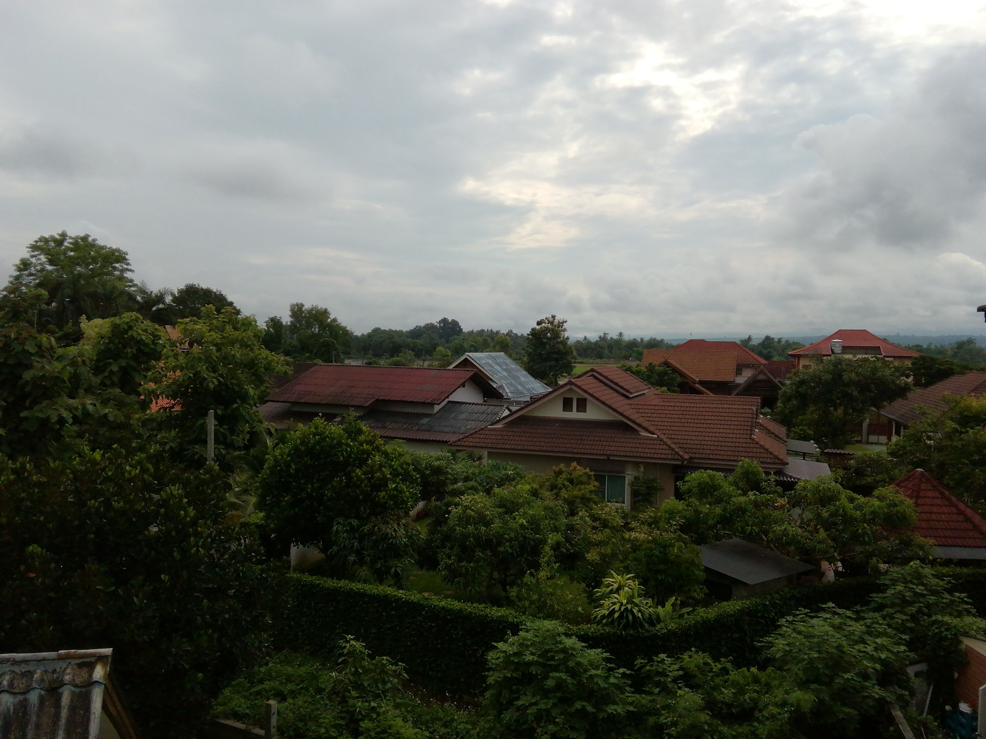 A residential area with houses having red roofs, surrounded by dense greenery and trees.