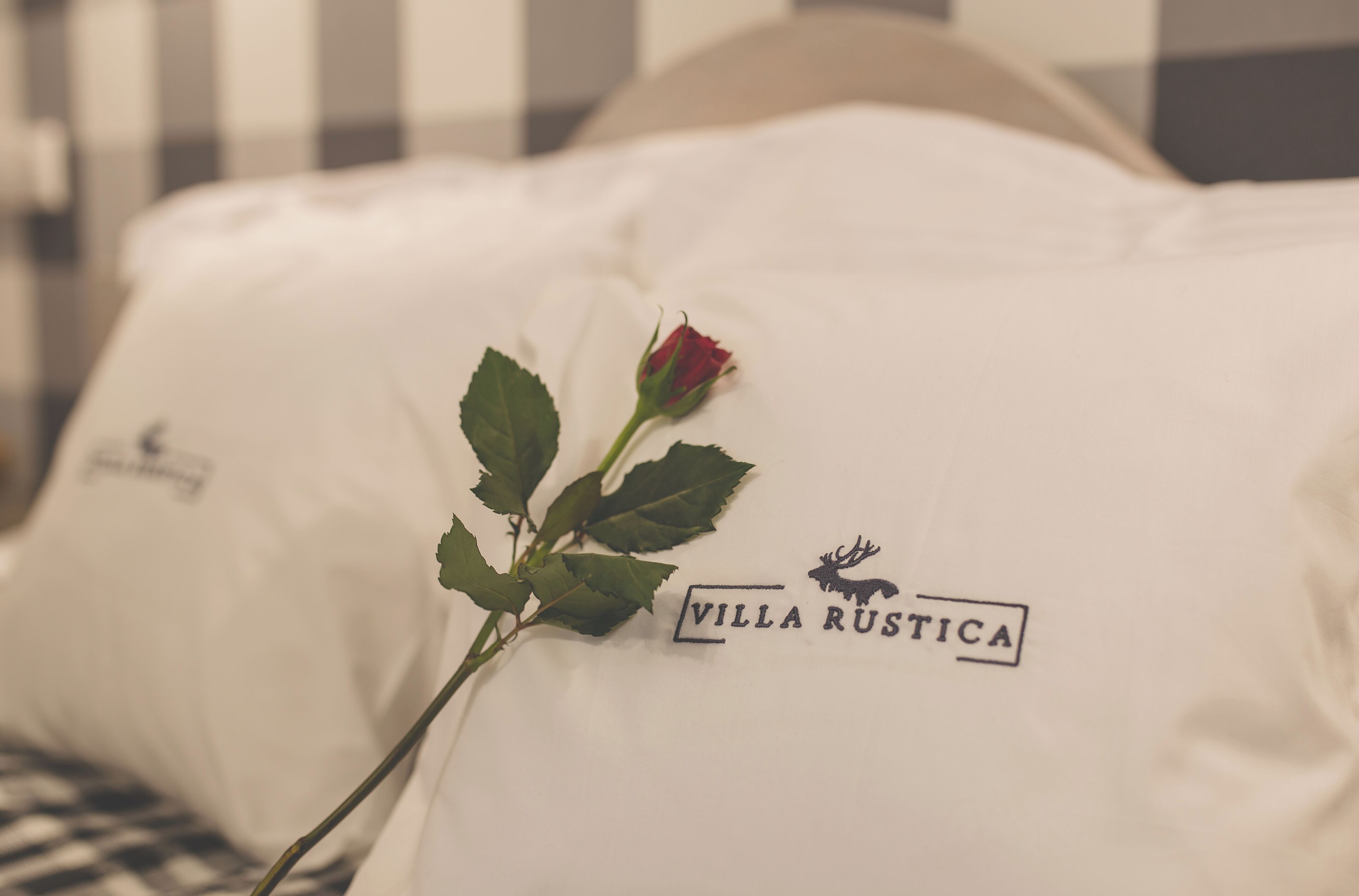 A pillow with a logo and a rose.