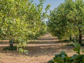 Property grounds - A Lumìa (Noto)
