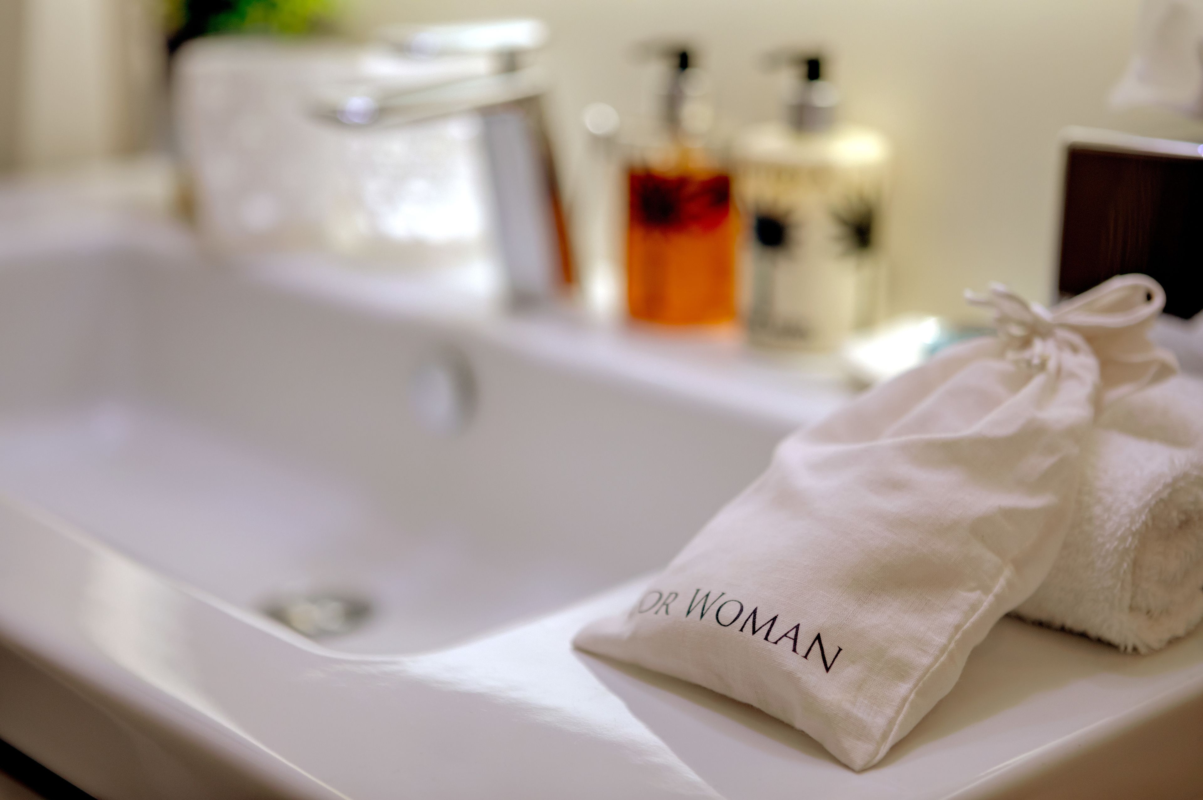 two bedroom premier suite | bathroom sink