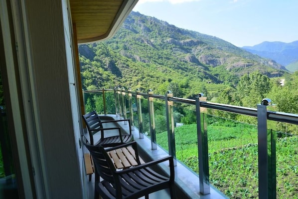 Deluxe Suite, 2 Bedrooms, Balcony | Balcony view