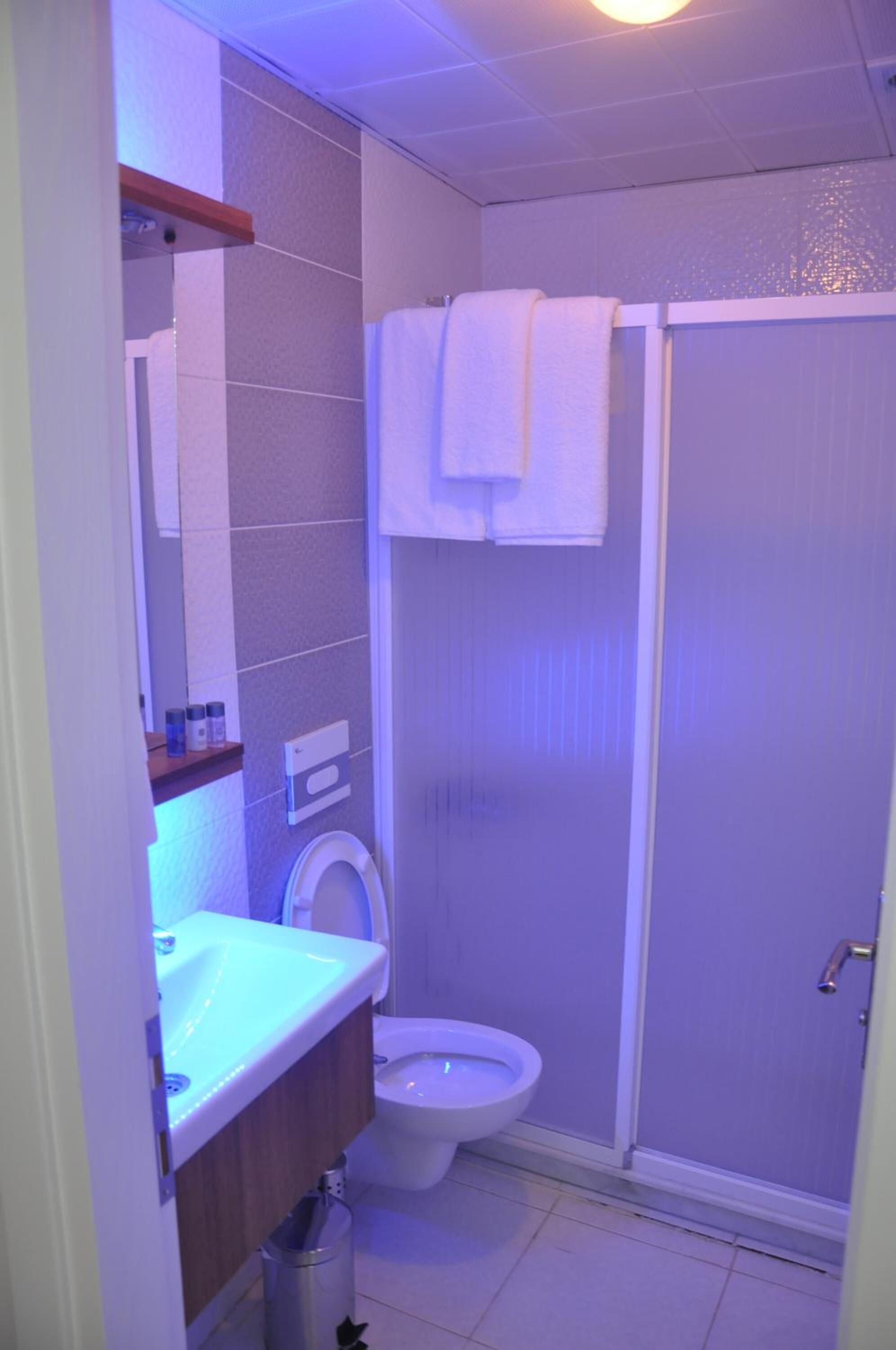 Une salle de bain avec des toilettes, un lavabo et une douche.