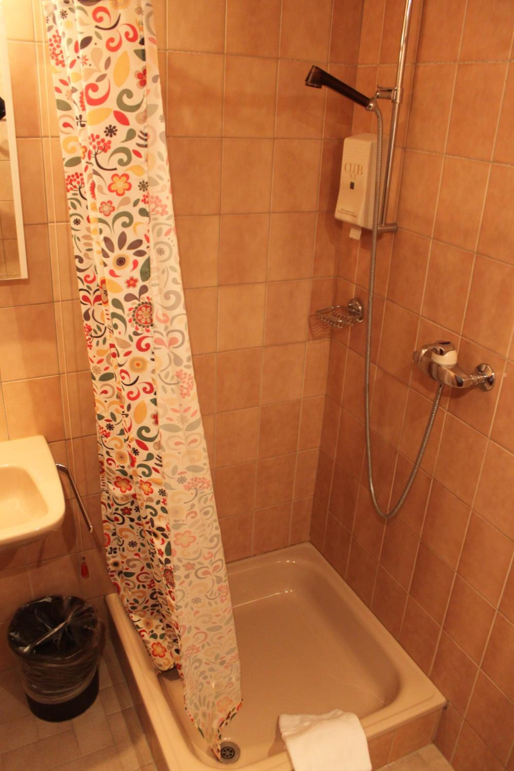 A shower area with a showerhead, a handheld shower attachment, and a toilet.
