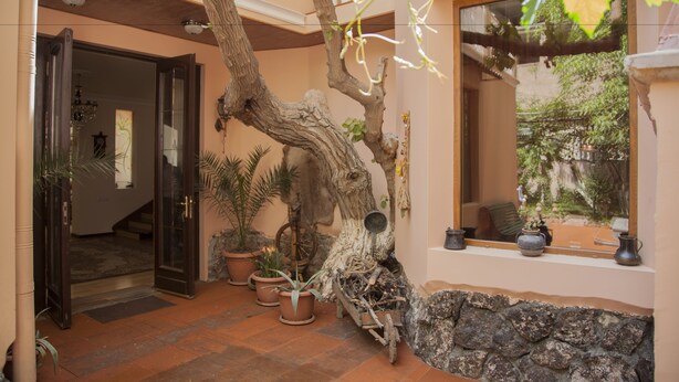 A traditional interior with a large tree trunk, potted plants, and a stone wall. - Hin Yerevantsi (Yerevan)