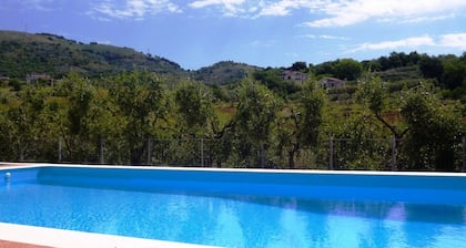 Agriturismo Pony Ranch - 6