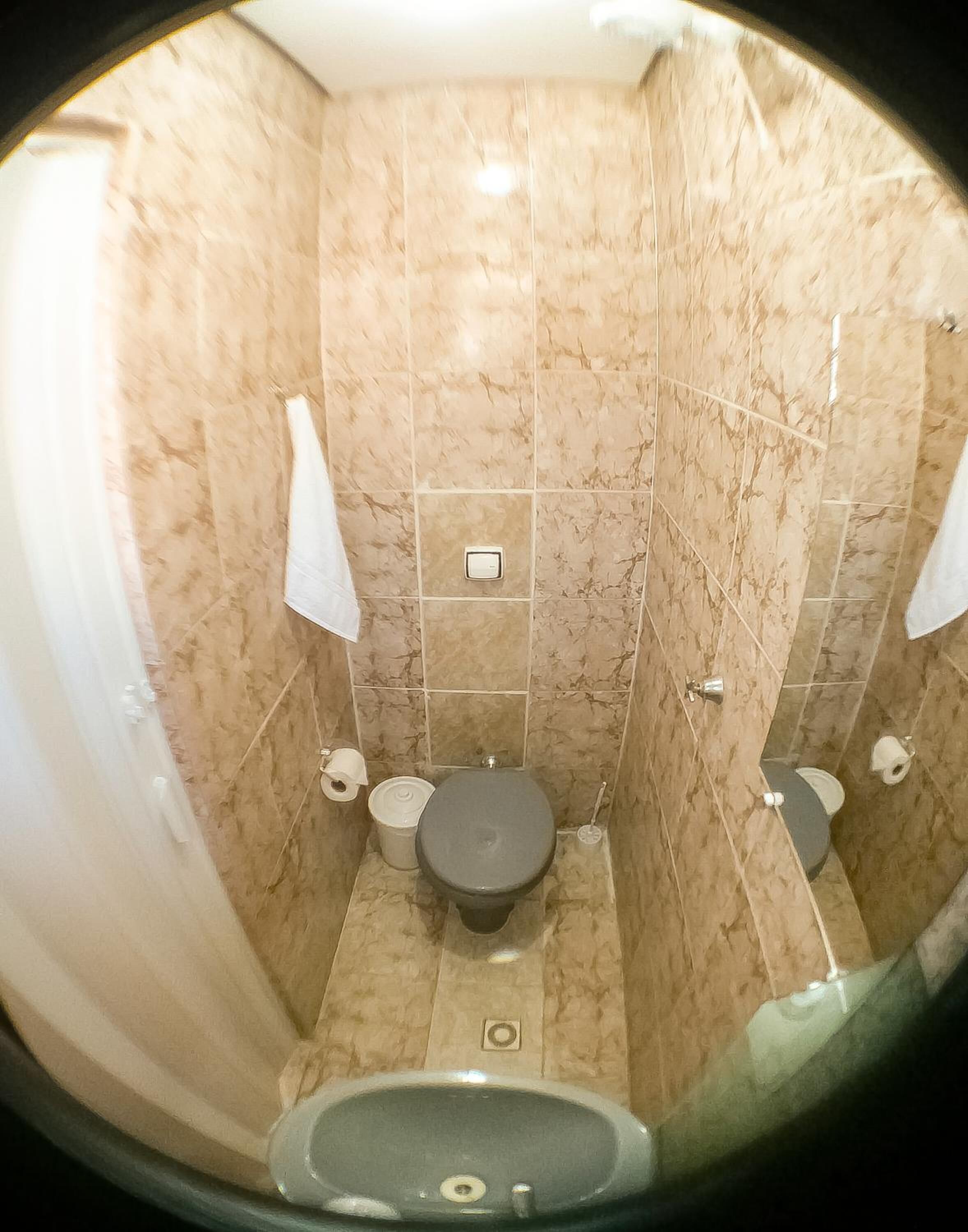 A bathroom with a toilet, bidet, and a shower area.