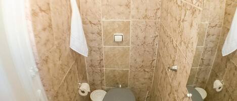 A bathroom with a toilet, bidet, and a shower area.