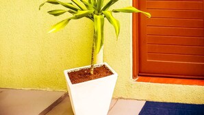 Une plante en pot devant un bâtiment dont la porte est marquée du numéro « 05 ».