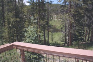 Une terrasse en bois, dotée de rampes en métal, qui offre une vue sur une zone boisée avec un étang.