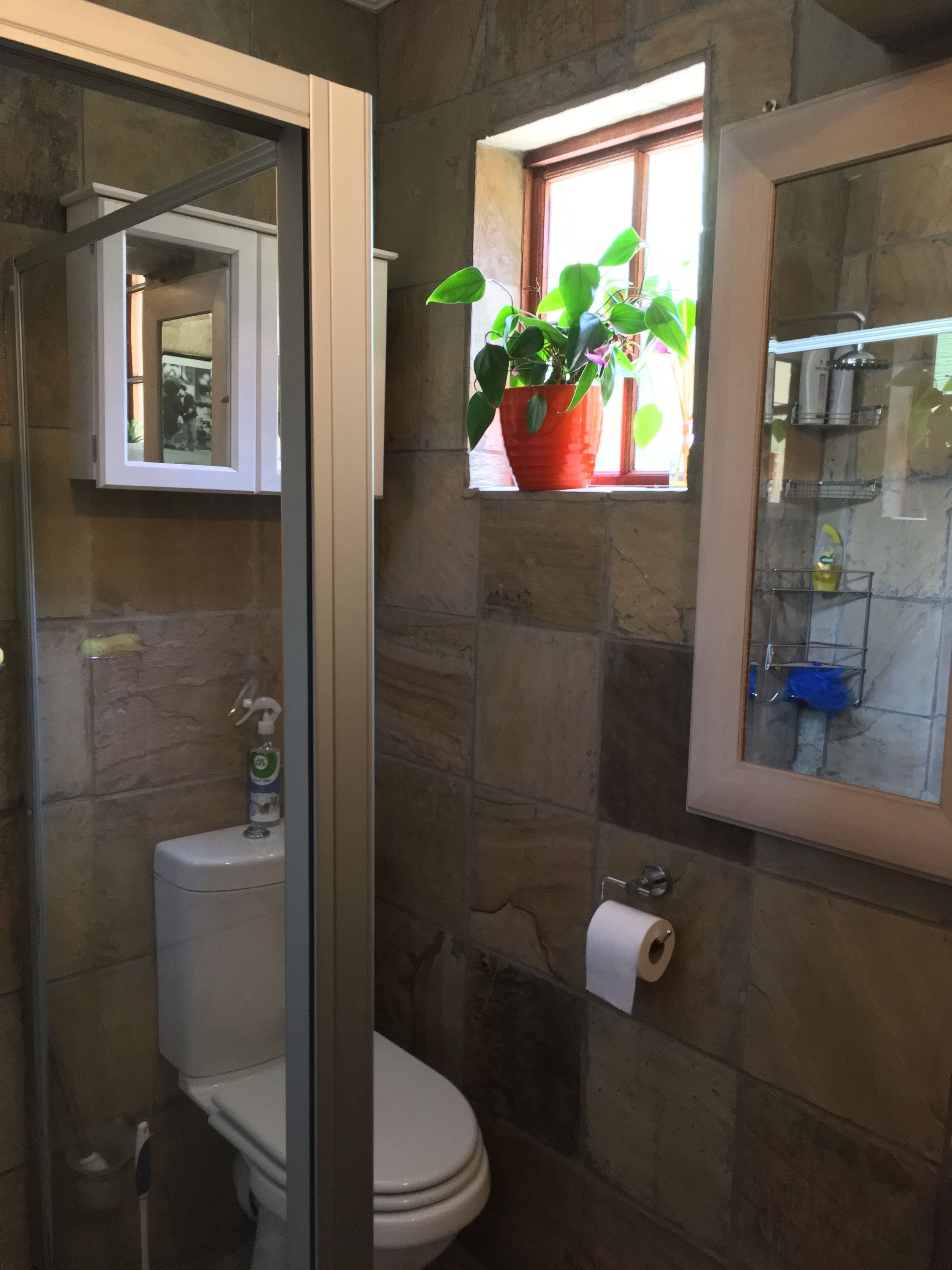 Ein Badezimmer mit Toilette, Dusche, Waschbecken, Spiegel und einer Topfpflanze.