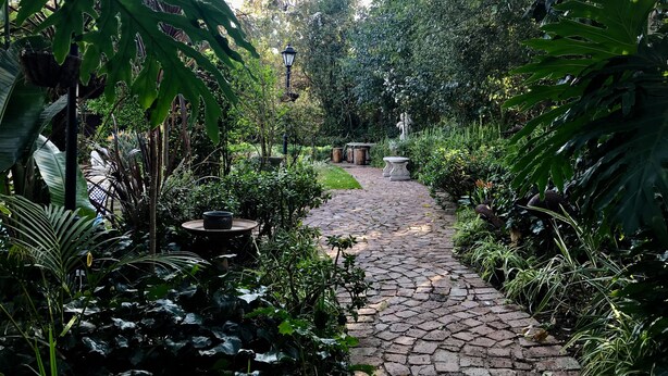 A stone pathway in a lush garden with various plants and a statue in the distance. - Pepper Tree BnB (Sandton)