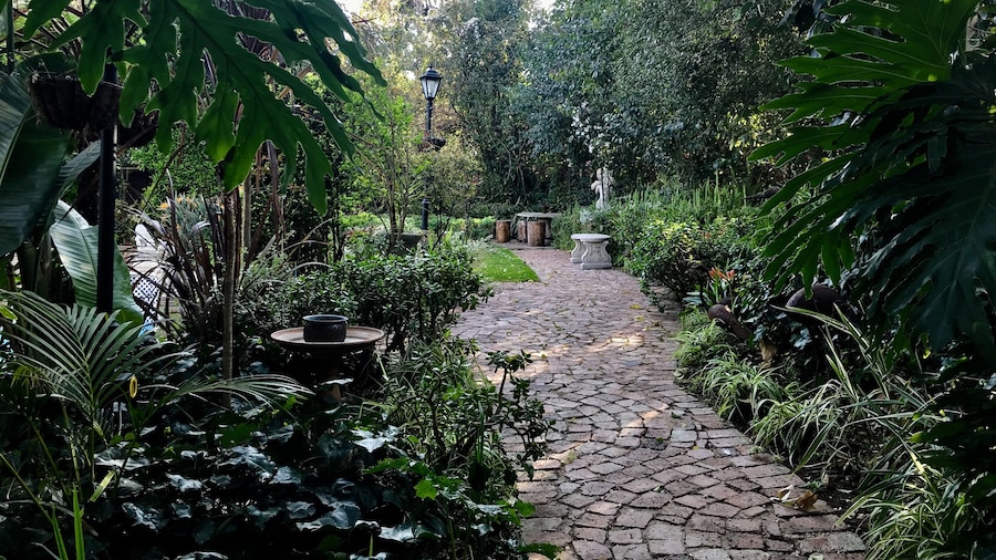 Pepper Tree BnB