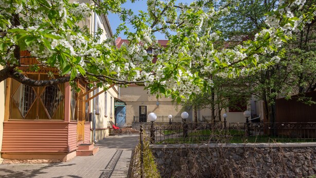 Ein Innenhof mit einem Holzgebäude, einer Steinmauer und einem Baum mit weißen Blüten.