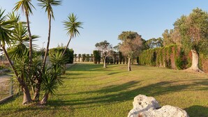 A well-maintained grassy area with palm trees and a large rock in the foreground. - Giardini di Marzo Lecce B&B (Lecce)