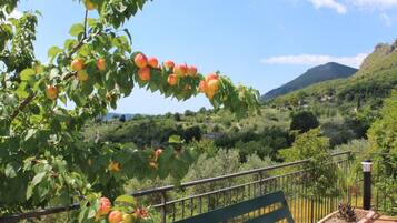Apartment, 2 Bedrooms | View from room