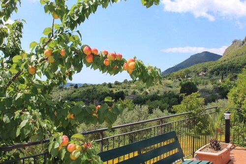 Appartamento Ginestra