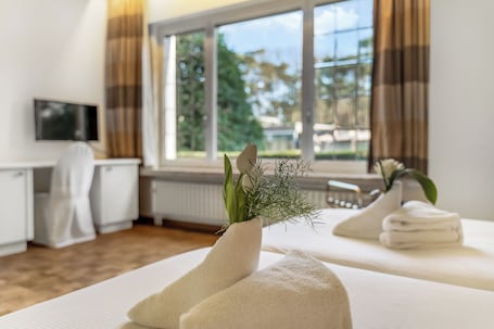 Standard Double or Twin Room | Desk, free WiFi. Domein Martinus