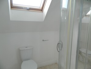 A bathroom with a skylight, a toilet, and a glass shower enclosure.