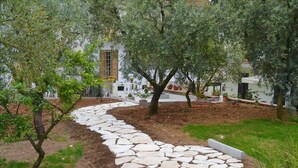 Un sendero de piedra que atraviesa un jardín con olivos y plantas en macetas.