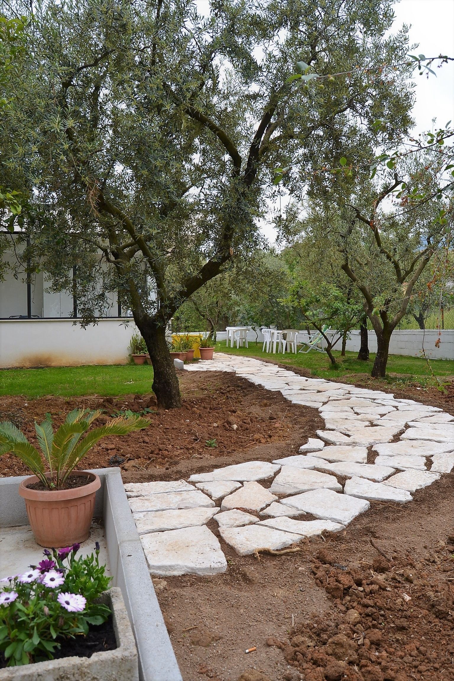 A garden pathway with stone tiles, surrounded by potted plants and trees.