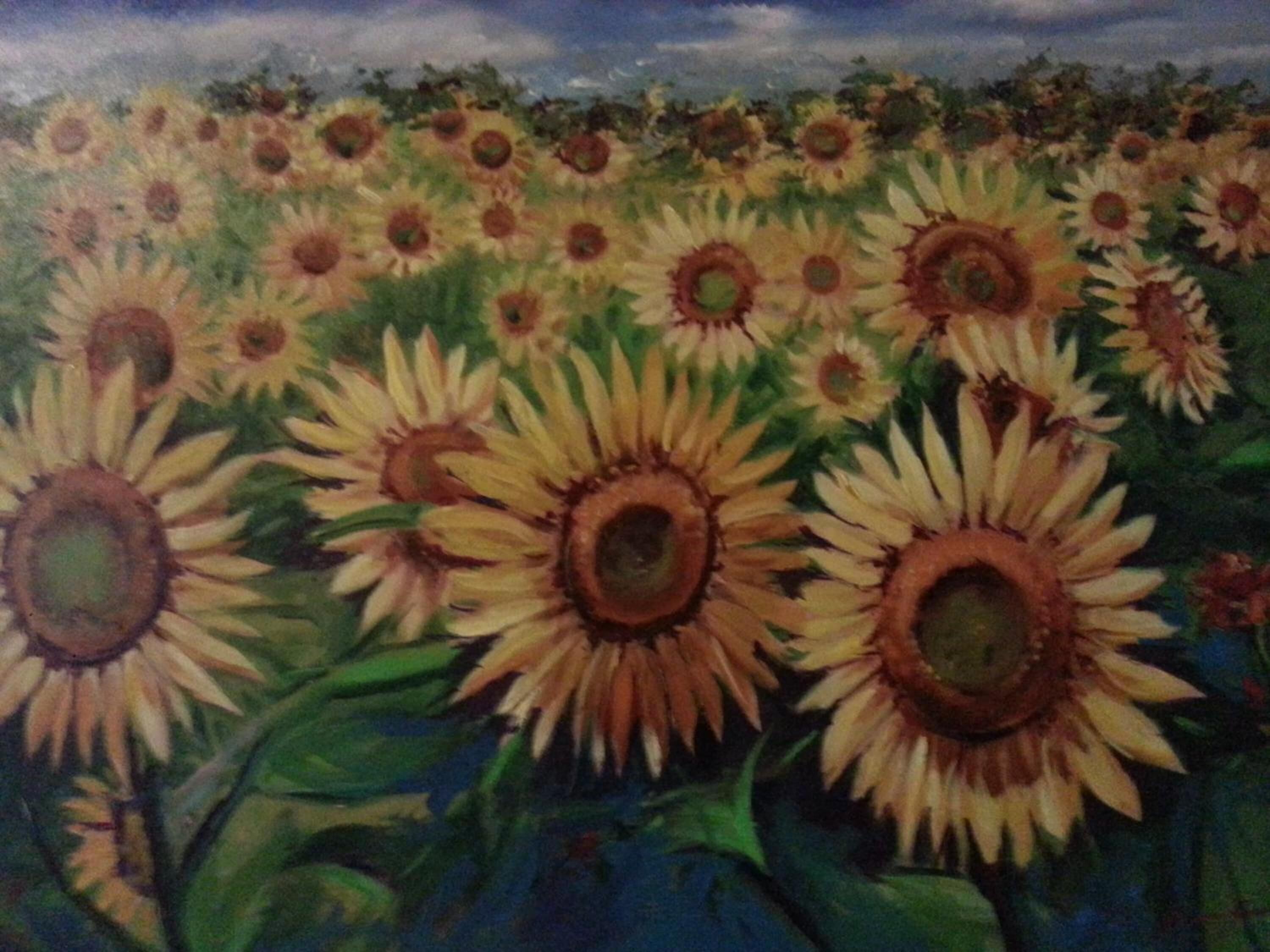 A field of sunflowers with a clear sky in the background.