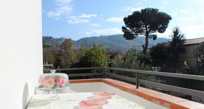 Villa Aladino - Iris