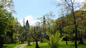 Área da propriedade
