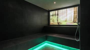 Sauna seca, sauna a vapor