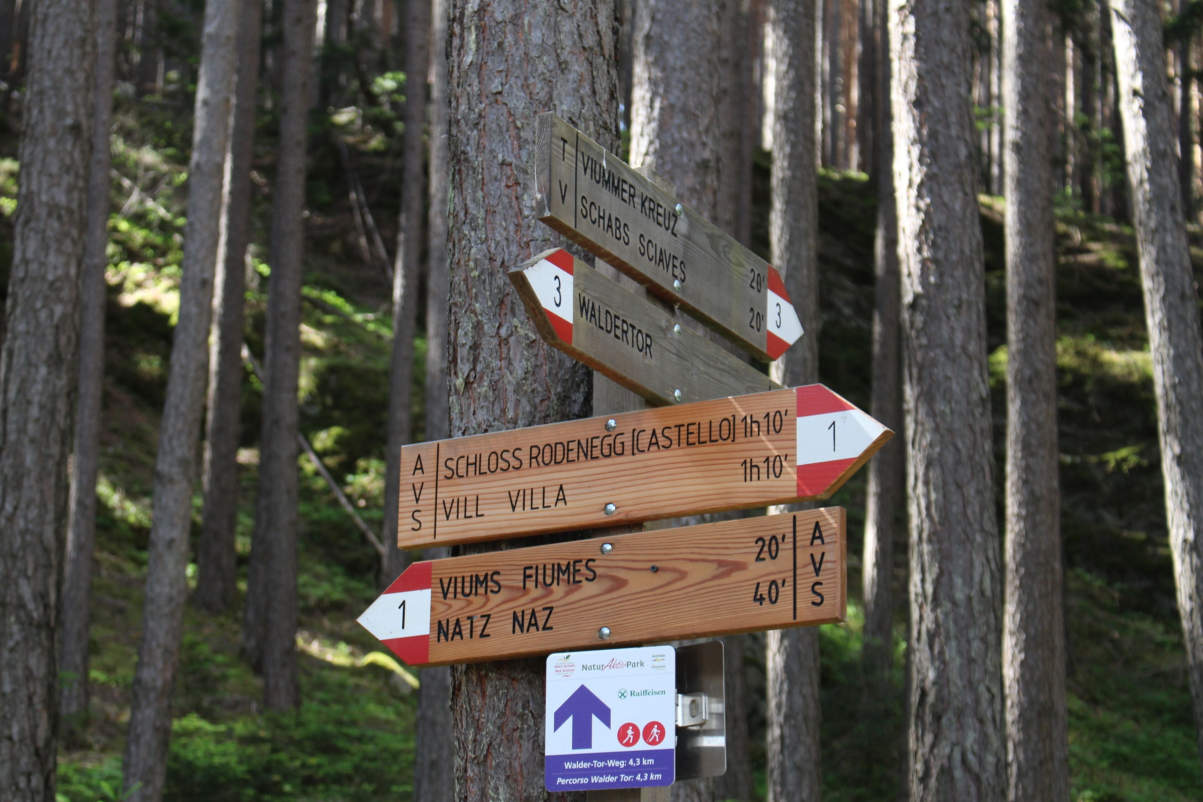 Un cartel de madera con flechas que indican diferentes destinos, situado en un bosque.