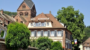 Unclassified image, 4 of 18, button - Logis Hôtel du Herrenstein (Neuwiller-les-Saverne)