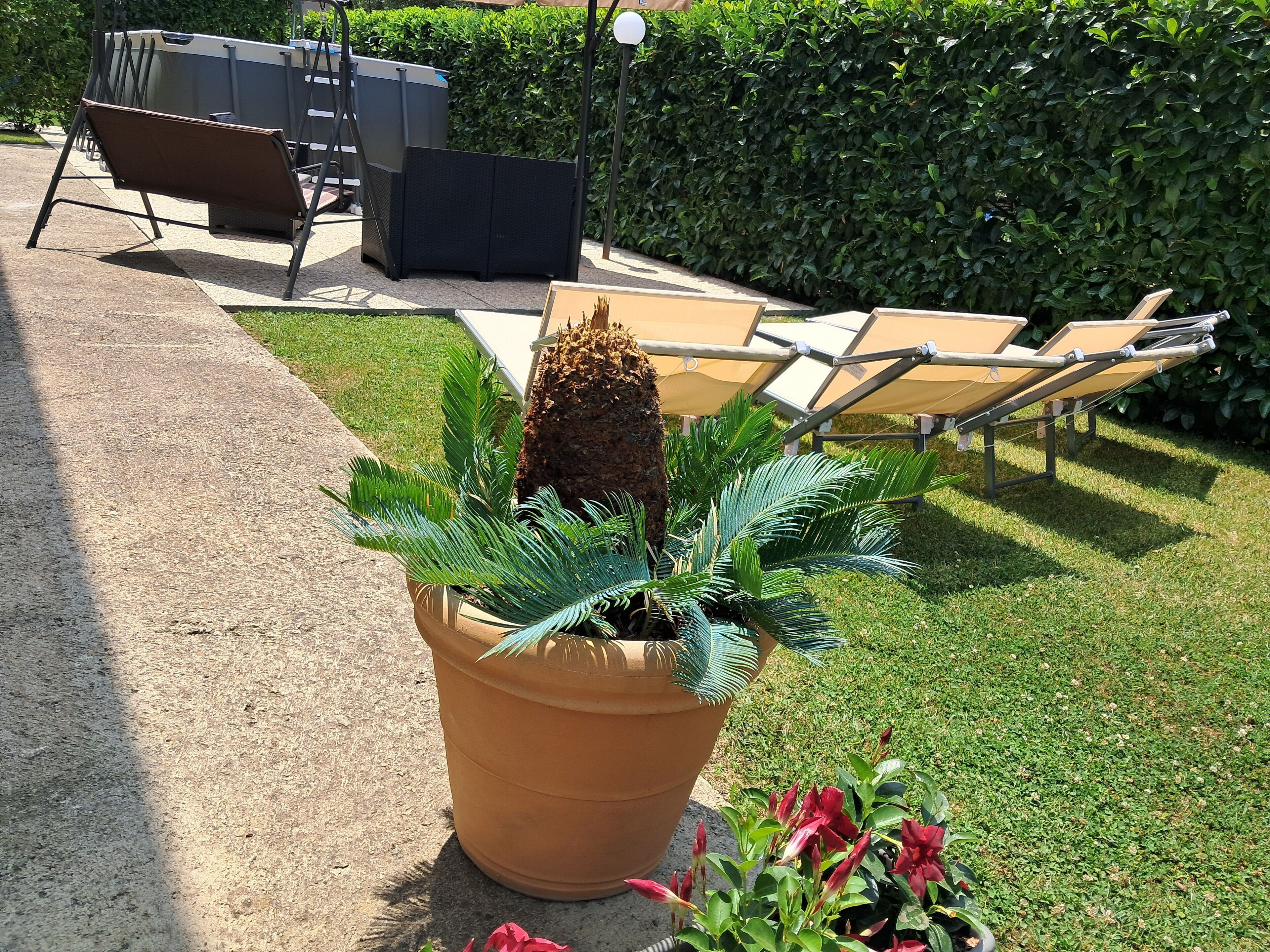 Foto - B&B Villa Rosa