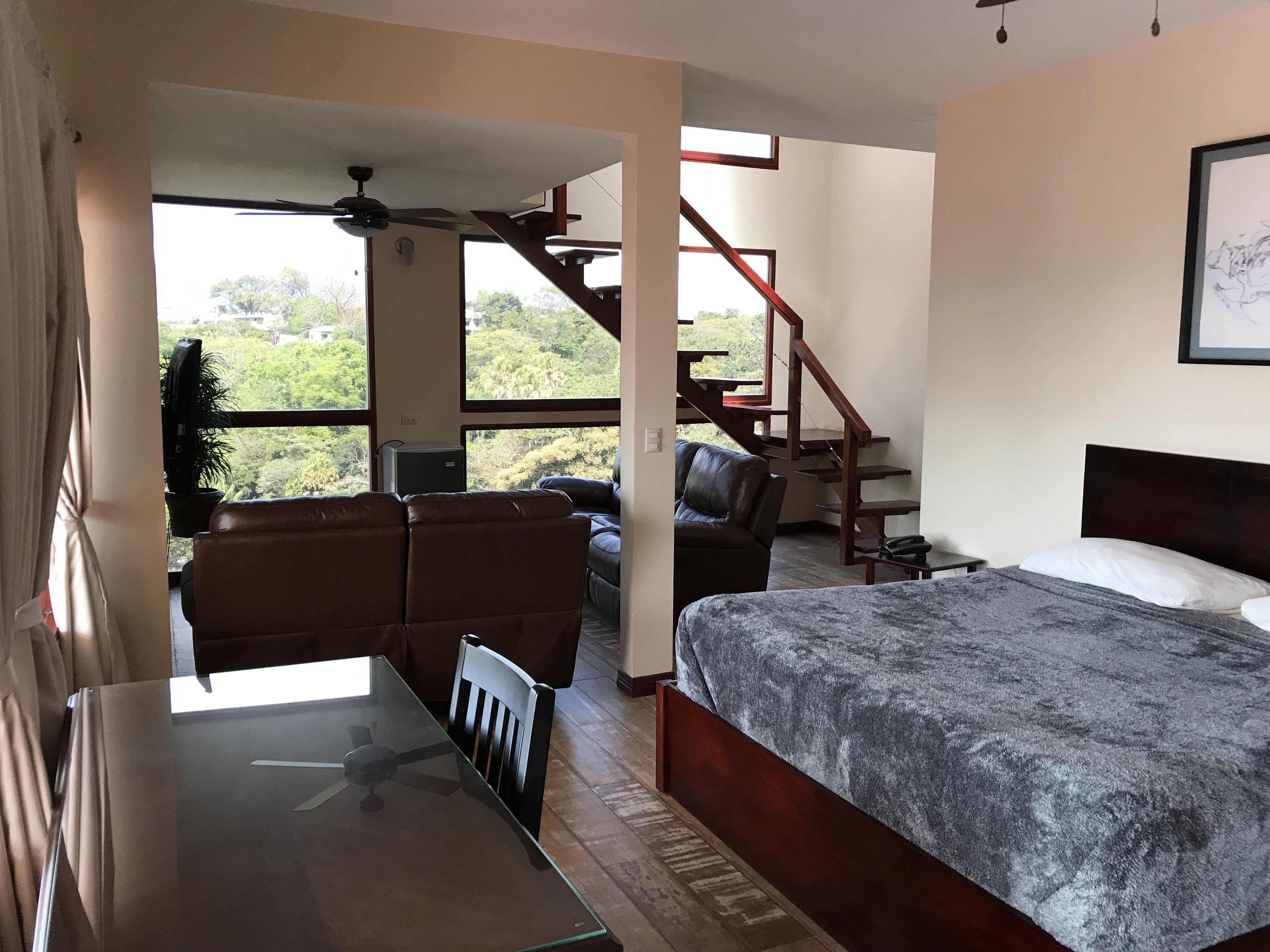 Photo - Hotel Castillo