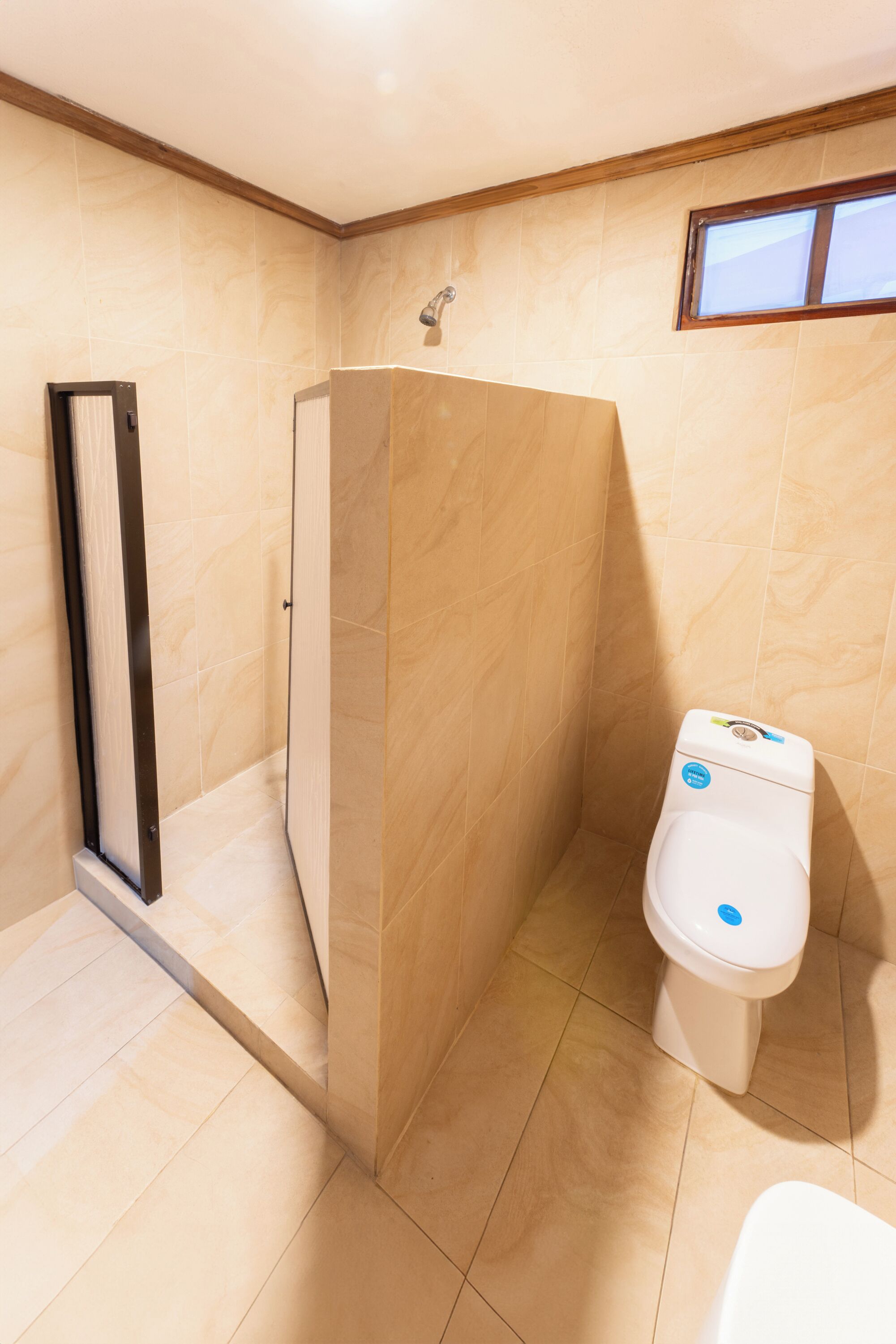 A bathroom with a shower enclosure, a toilet, and a window.