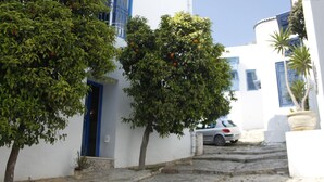 A narrow cobblestone street flanked by white buildings with blue shutters and doors. - La Chambre Verte (Sidi Bou Said)