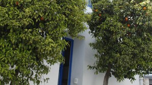 A white building with blue window frames and a door, surrounded by trees with oranges. - La Chambre Verte (Sidi Bou Said)