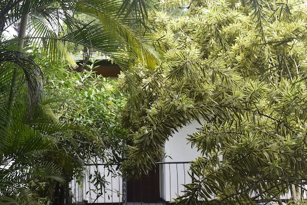 Vista frontal de la propiedad