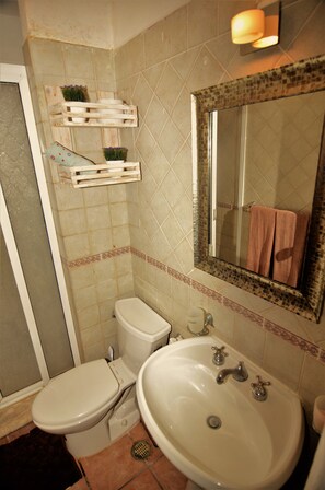 A bathroom with a toilet, sink, and shower. There are wooden shelves with plants and a mirror with a towel hanging on it. - Apartment Luna Antigua 2 BR 1 Bth (Playa del Carmen)