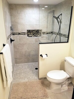 Shower, hair dryer, towels