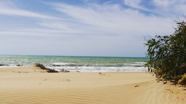 A beach with sand dunes and a clear sky.