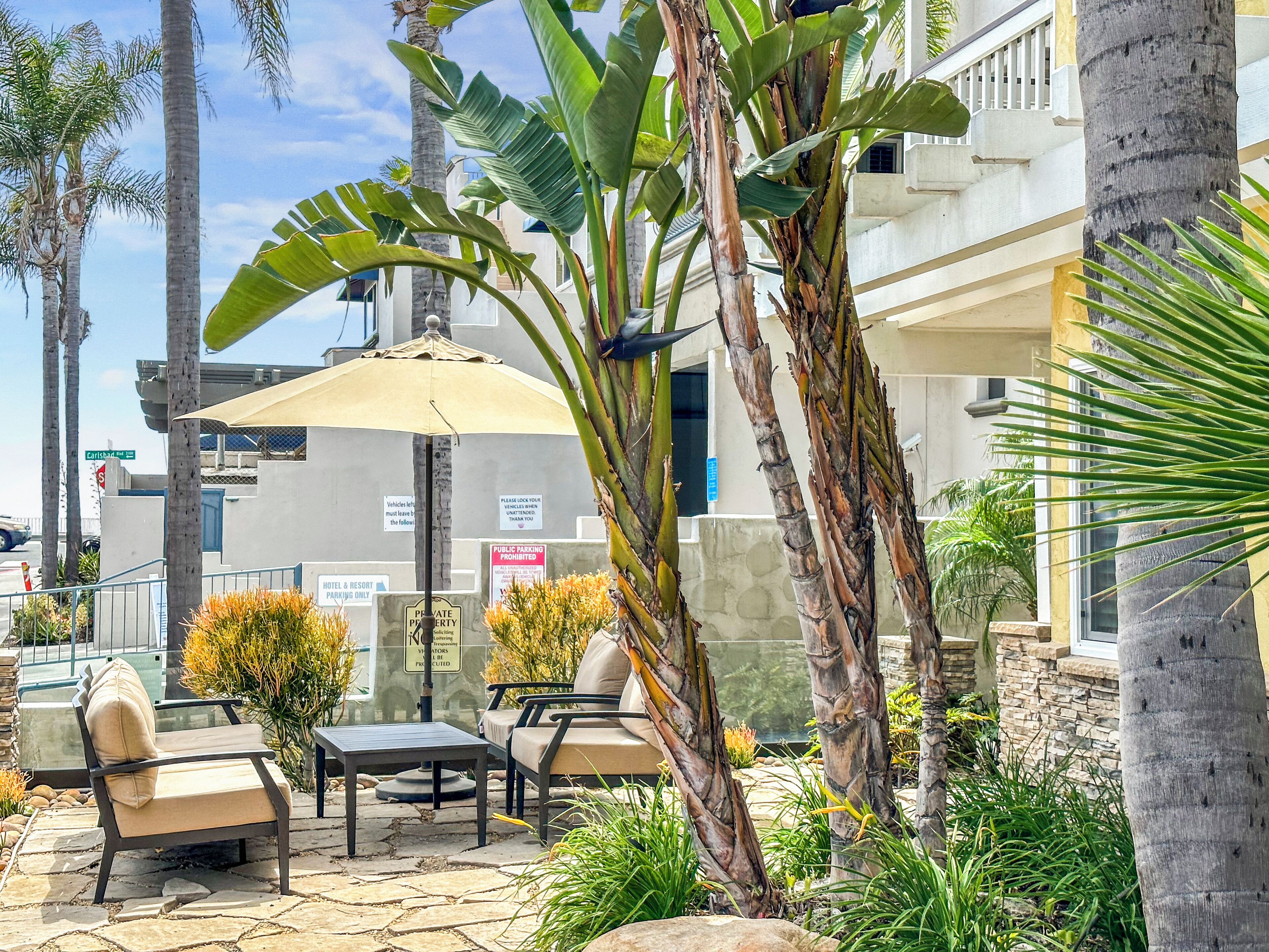 Un área de estar al aire libre con sillas y una mesa, rodeada de palmeras y plantas.