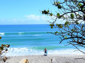 Beach nearby, sun-loungers, beach towels