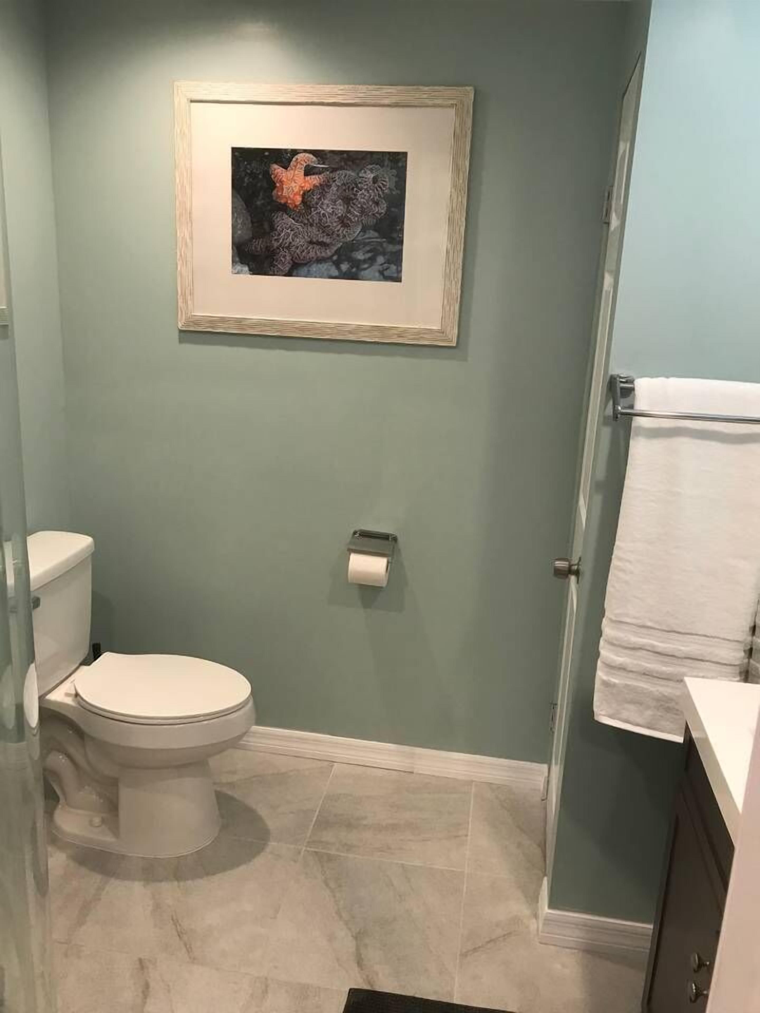 A bathroom with a toilet, a framed artwork on the wall, a roll of toilet paper, and a towel rack.