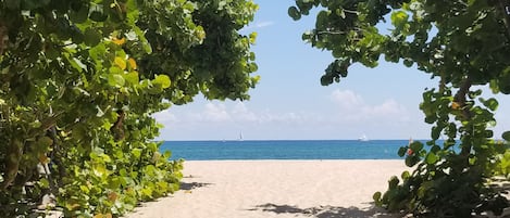 Perto da praia, espreguiçadeiras, toalhas de praia 