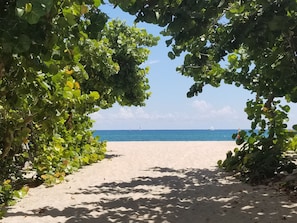 A beach pathway framed by lush green foliage leading to a sandy beach with a clear blue sea and distant sailboats.