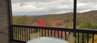 Winterplace Condo D303