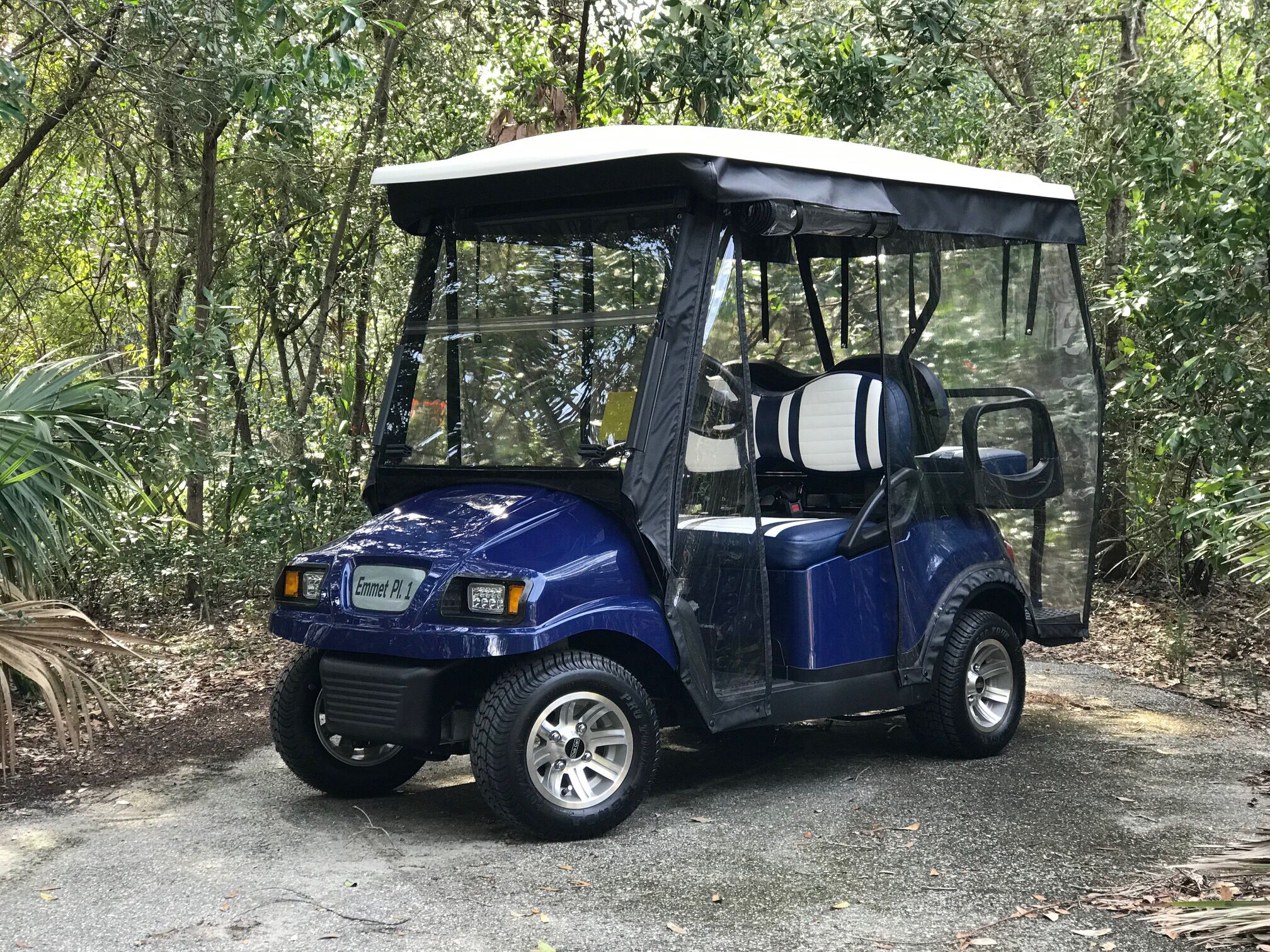 A blue golf cart parked on a path surrounded by dense foliage.