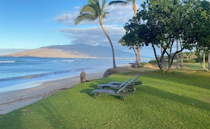 Una playa con zona verde, una silla de descanso y una palmera.