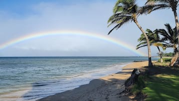 Accommodatie ligt op het strand, ligstoelen, strandlakens