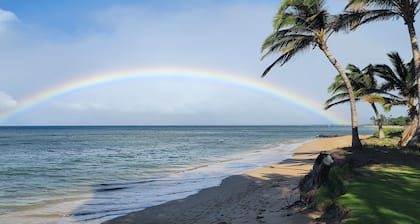 BEACHFRONT FAMILY ESTATE: Sleeps 15 - 4 separate Units with optional cottage.