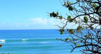 POSHPADZ Presents Sandpiper Villa - Walk to Jupiter Beach